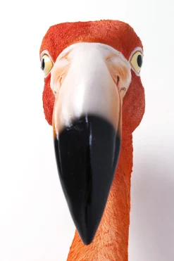Dekoracja ścienna Flamingo Road 27x72 cm