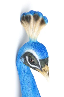 Dekoracja ścienna Peacock 16x68 cm niebieska