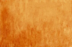 Dywan Cosy Rdzawy 200x300cm