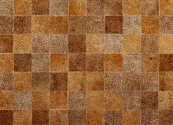 Dywan Leo Square 200x300cm