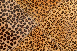 Dywan Leo Square 200x300cm