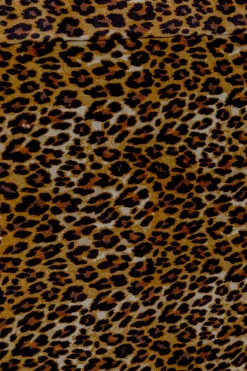 Kuferek Wild Animal Leo (3/Set)
