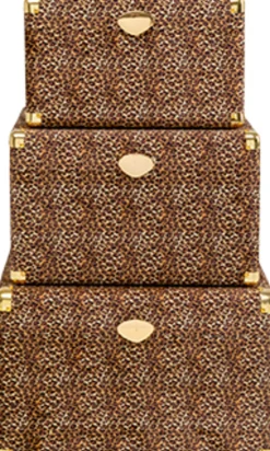 Kuferek Wild Animal Leo (3/Set)