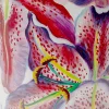 Lampa Stołowa Lillies Różowa