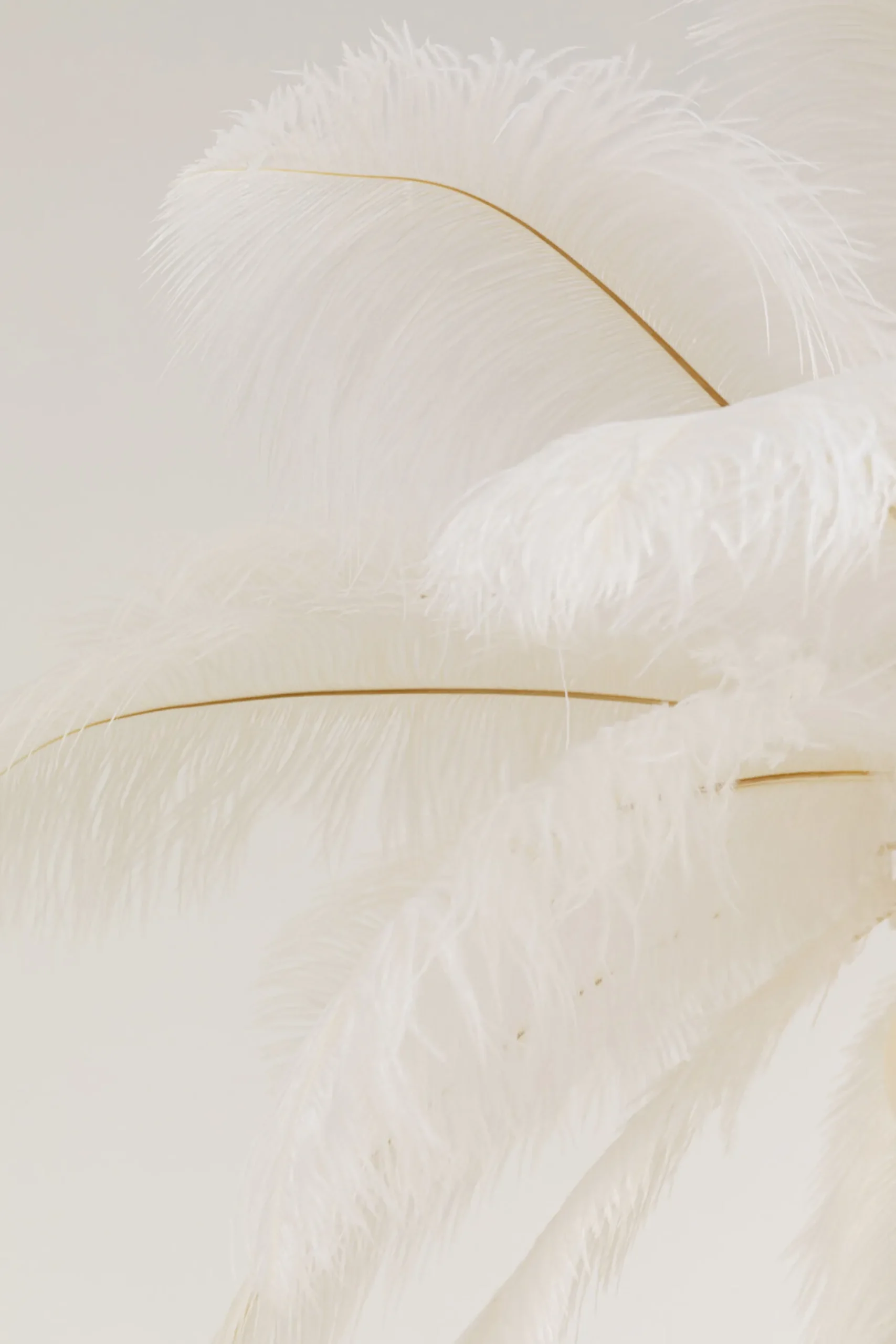 Lampa wisząca Feather Palm biała Ø60cm