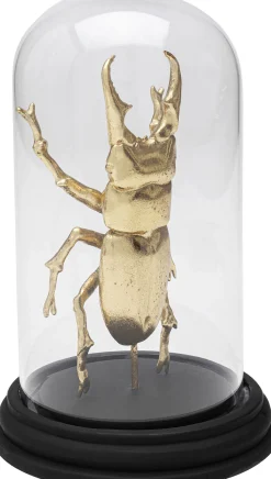 Obiekt dekoracyjny Bell Jar Hercules Beetle 20cm