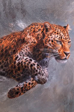 Obraz Hunting Leopard 103x103cm