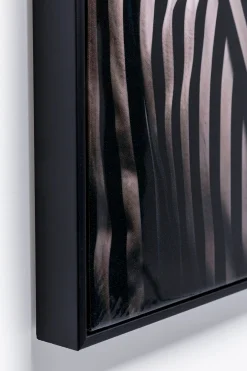 Obraz Mister Zebra 50x70cm