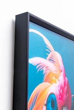 Obraz szklany Cockatoo Chatter 70x50cm