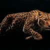 Obraz szklany Hunting Leopard 200x100cm