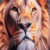 Obraz szklany Suit Lion 80x120cm