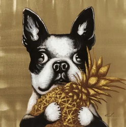 Obraz Touched Dog with Pineapple 80x80 cm