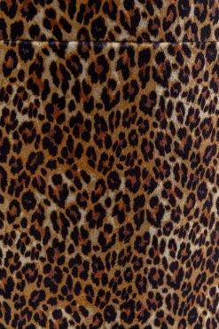 Pudełko Wild Animal Leo (2/Set)