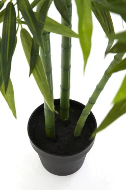 Roślina dekoracyjna Bamboo Tree 200 cm