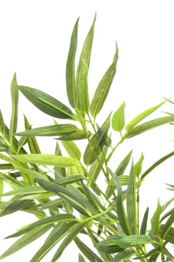 Roślina dekoracyjna Bamboo Tree 200 cm