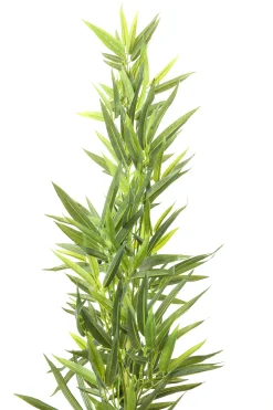 Roślina dekoracyjna Bamboo Tree 200 cm