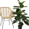 Roślina dekoracyjna Fiddle Leaf 120 cm