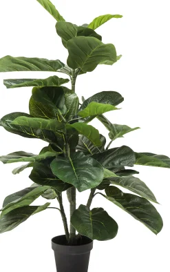 Roślina dekoracyjna Fiddle Leaf 120 cm