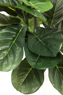 Roślina dekoracyjna Fiddle Leaf 120 cm