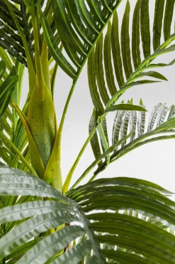 Roślina dekoracyjna Palm Tree 190 cm