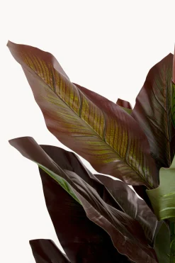 Roślina sztuczna Canna Lily 165cm