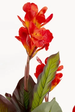 Roślina sztuczna Canna Lily 165cm