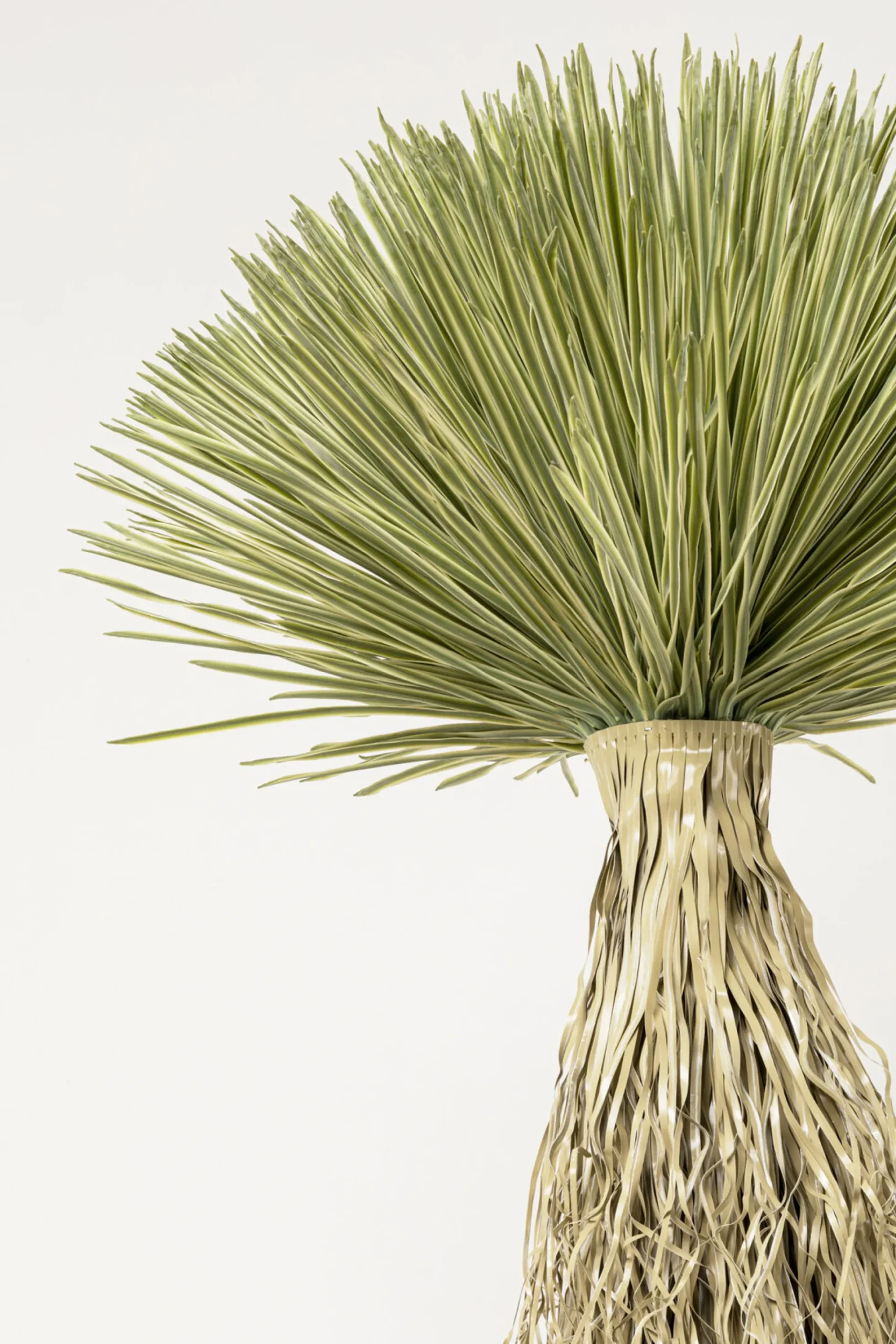 Roślina sztuczna wysoka Yucca Rostrata 240 cm