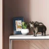 Skarbonka Rockstar Pig 23x17 cm czarna
