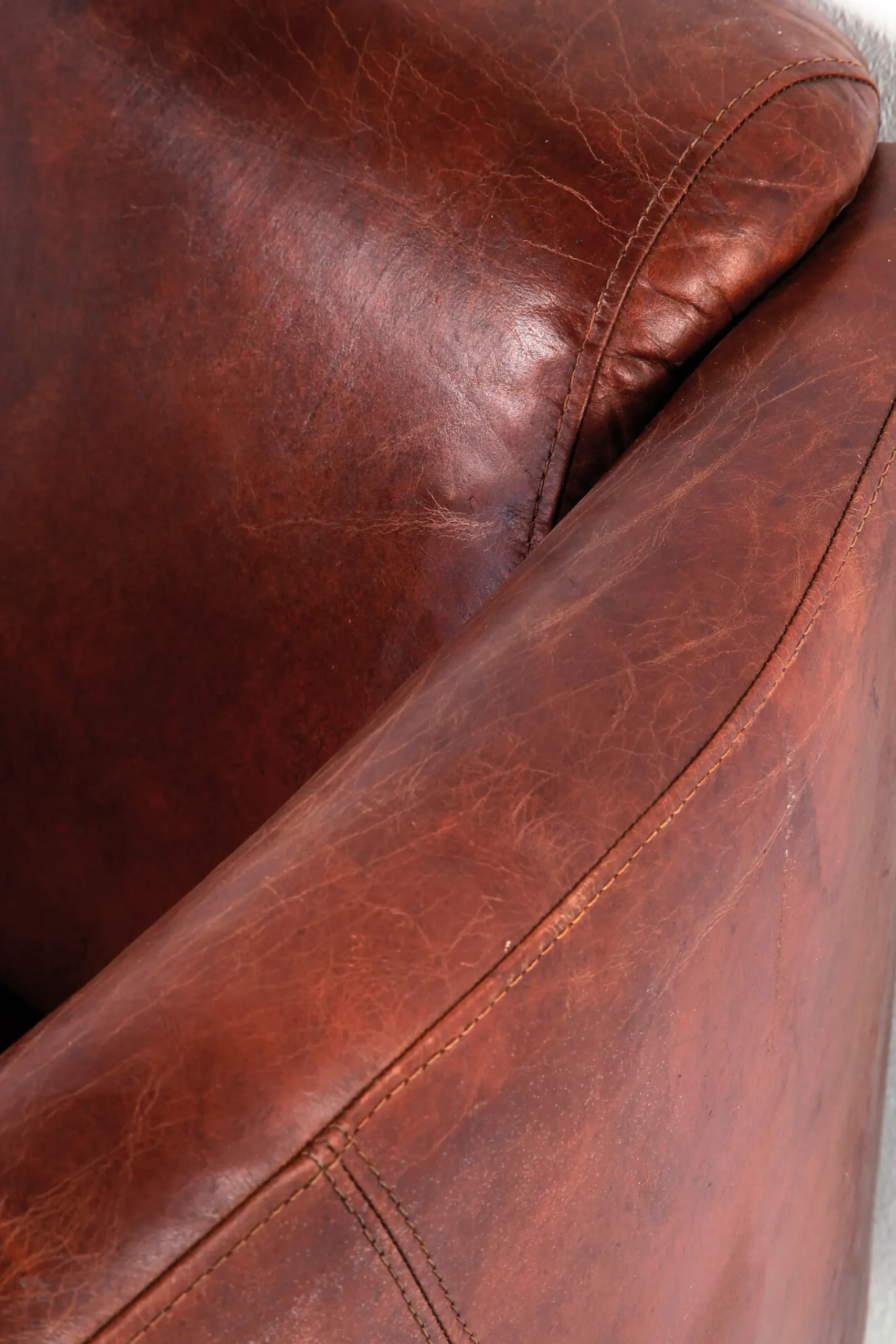 Sofa Cigar Lounge 176 cm