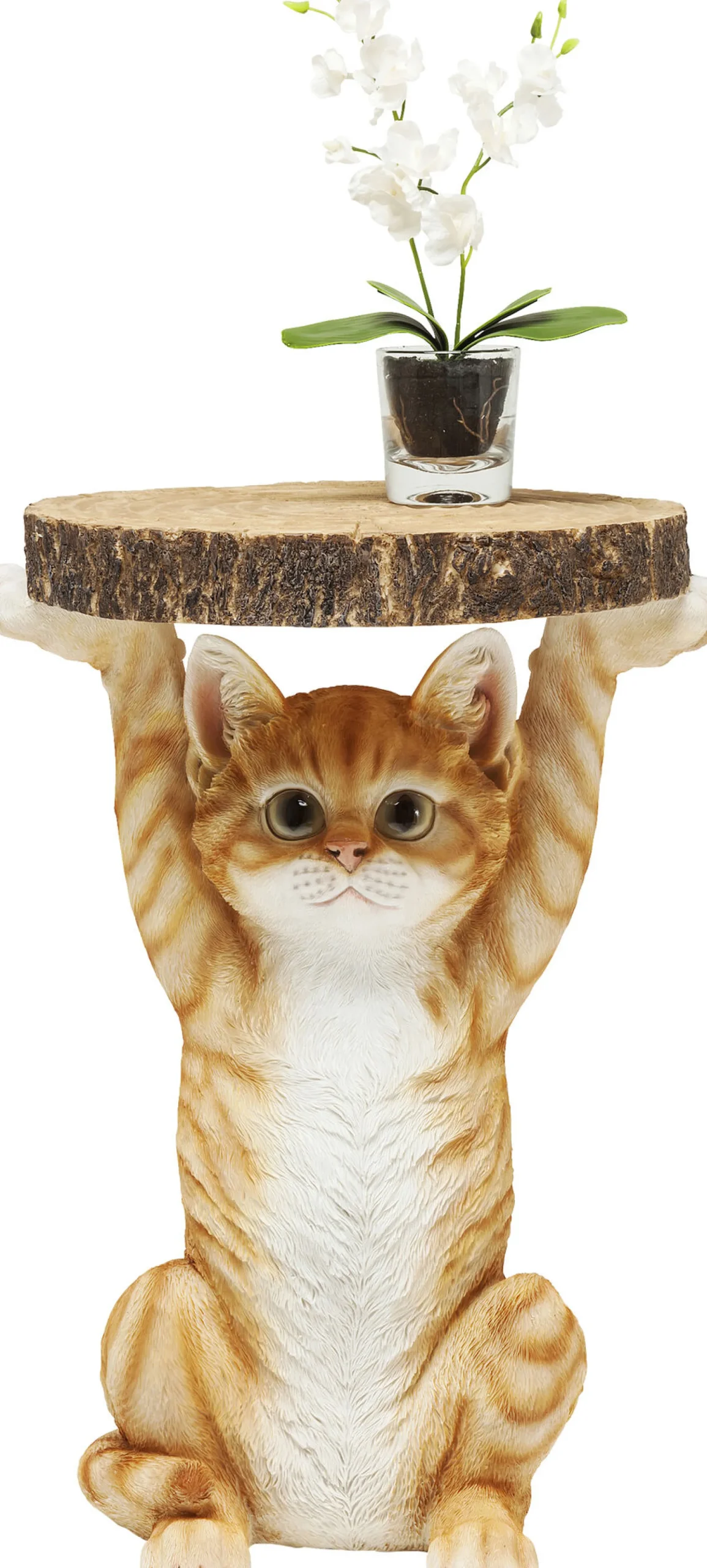 Stolik Animal Ms Cat 33x35 cm kolorowy