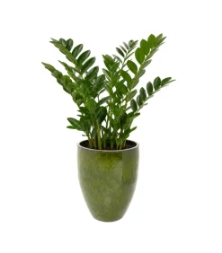 Wazon Cali zielony 58cm