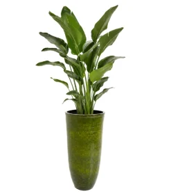 Wazon Cali zielony 105cm