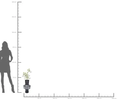 Wazon Roulette Belly ∅24x42 cm biało-czarny