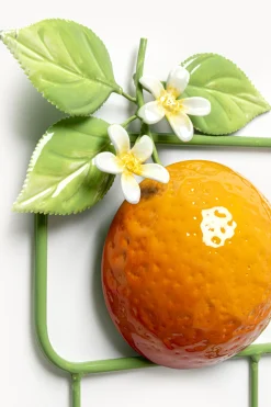 Wieszak ścienny Citrus 62cm